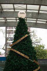 ARBOL